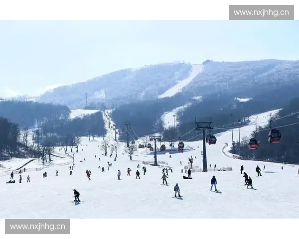 雪季狂欢启幕高山滑雪场沉浸式冰雪运动度假体验全攻略指南精选 雪季狂欢启幕高山滑雪场沉浸式冰雪运动度假体验全攻略指南精选